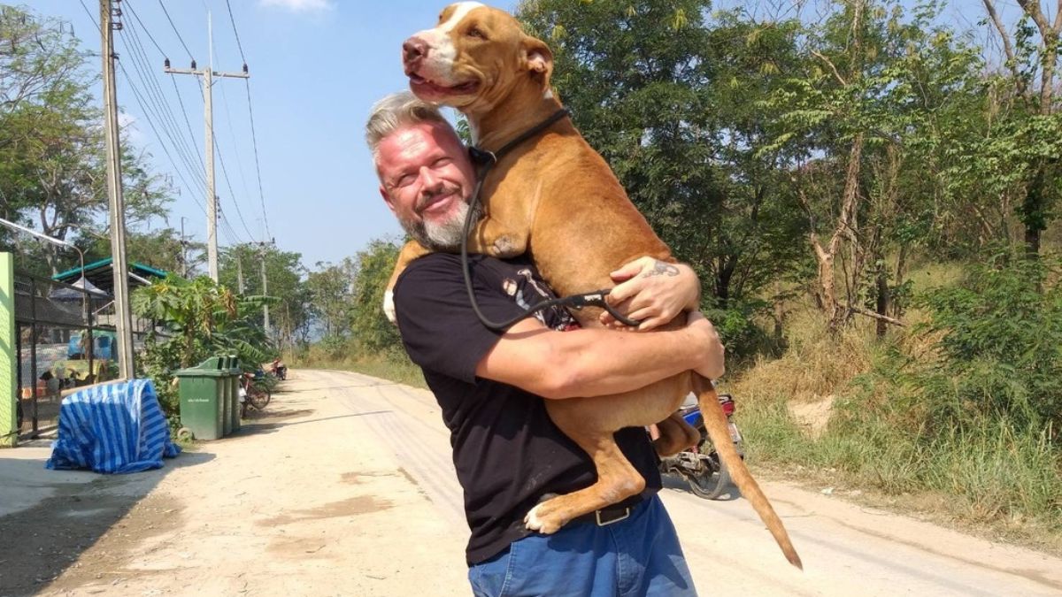 The Man That Rescues Dogs Set to Launch Book To Raise Funds