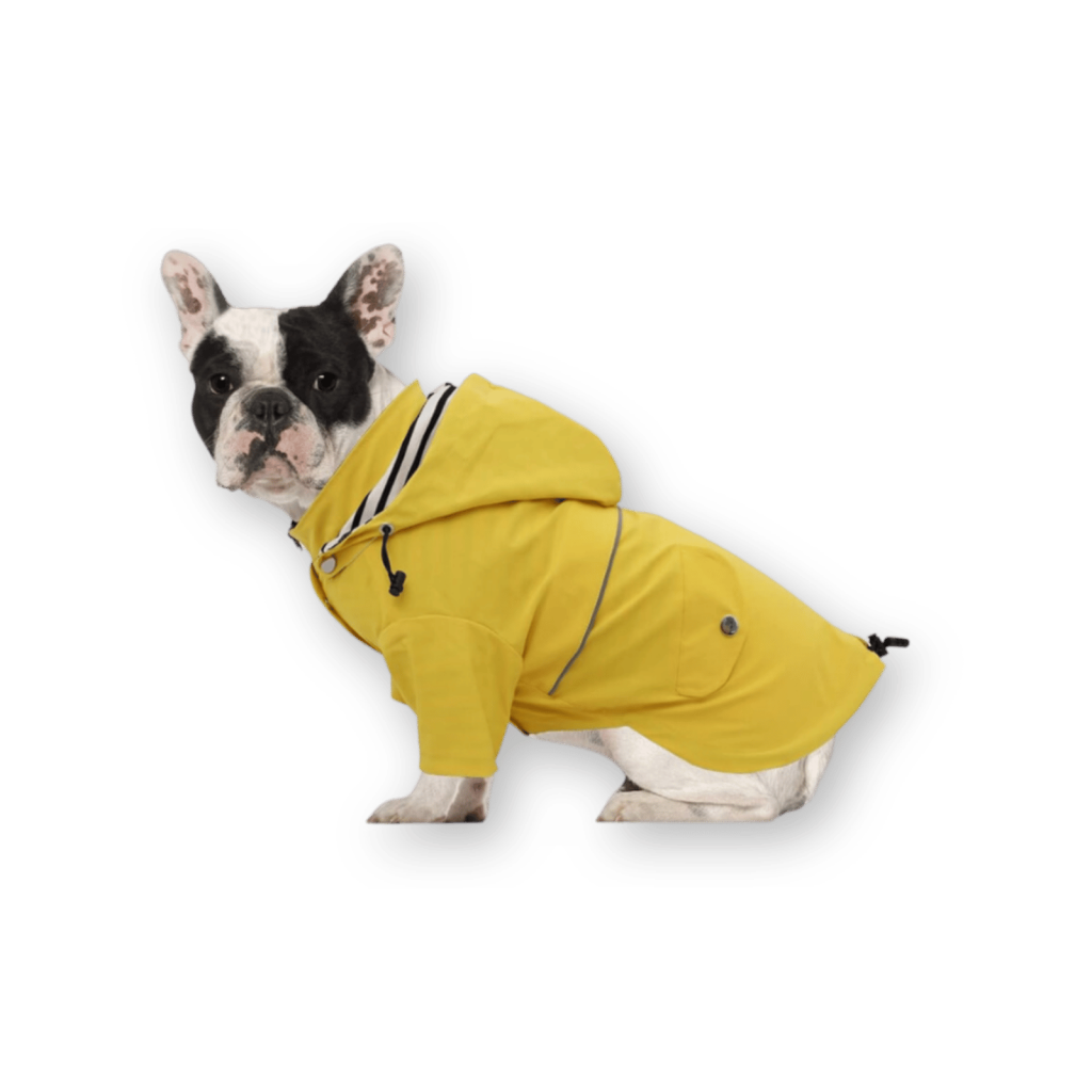 Morezi Dog Raincoat