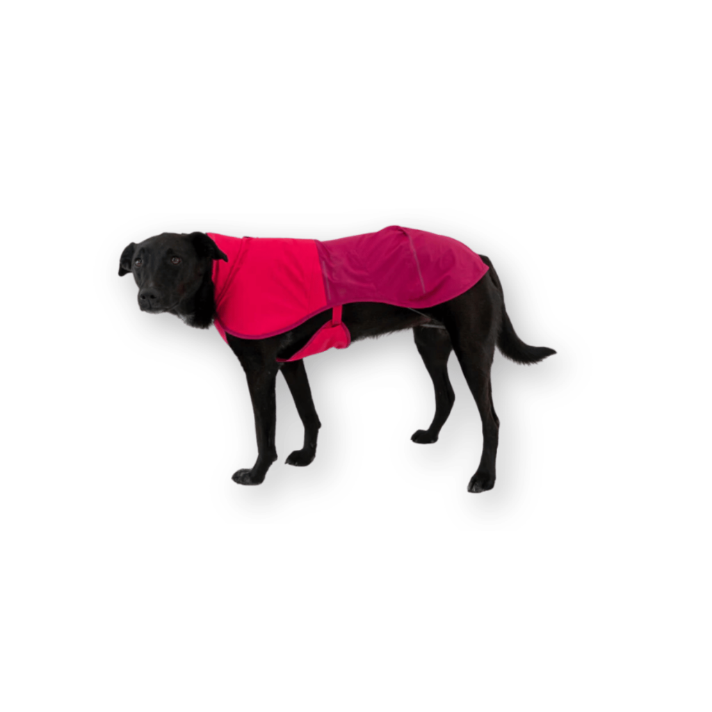 Ruffwear Dog Raincoat