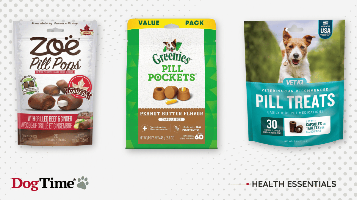 7 Best Pill Pockets for Dogs, Vet’s Picks in 2024 - DogTime