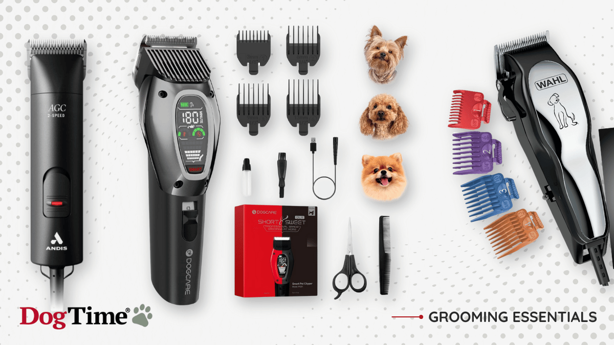 Best Dog Hair Clippers of 2024, by Groomers