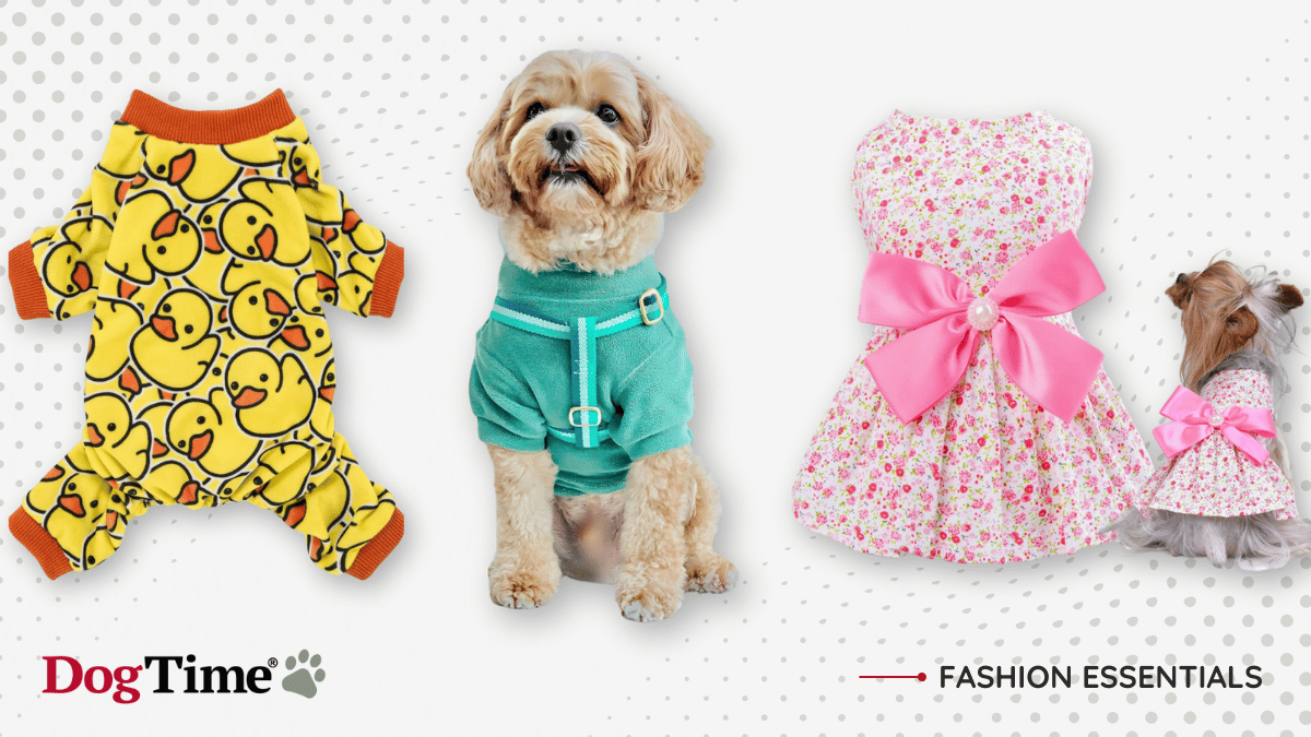 7 Best Dog Clothes for Your Fur Baby, 2025 Edition