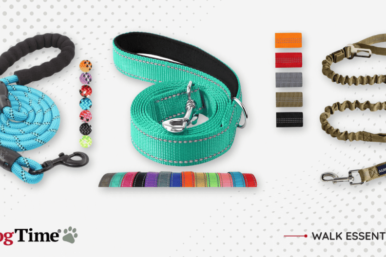best dog leashes