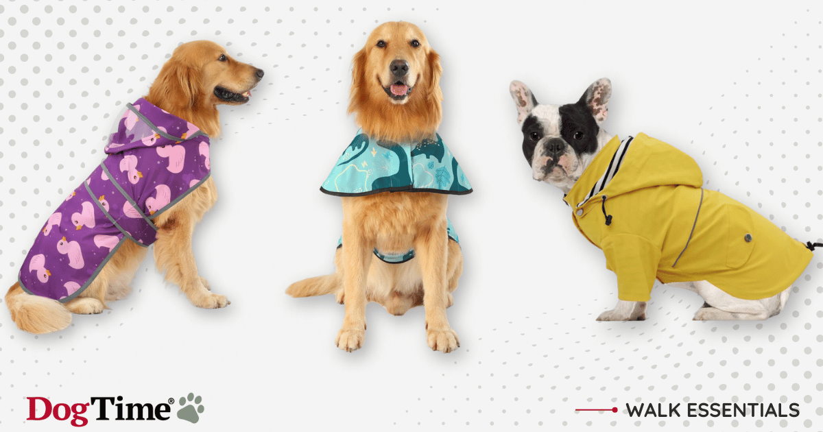 7 Best Dog Raincoats to Keep Your Pooch Dry in 2024