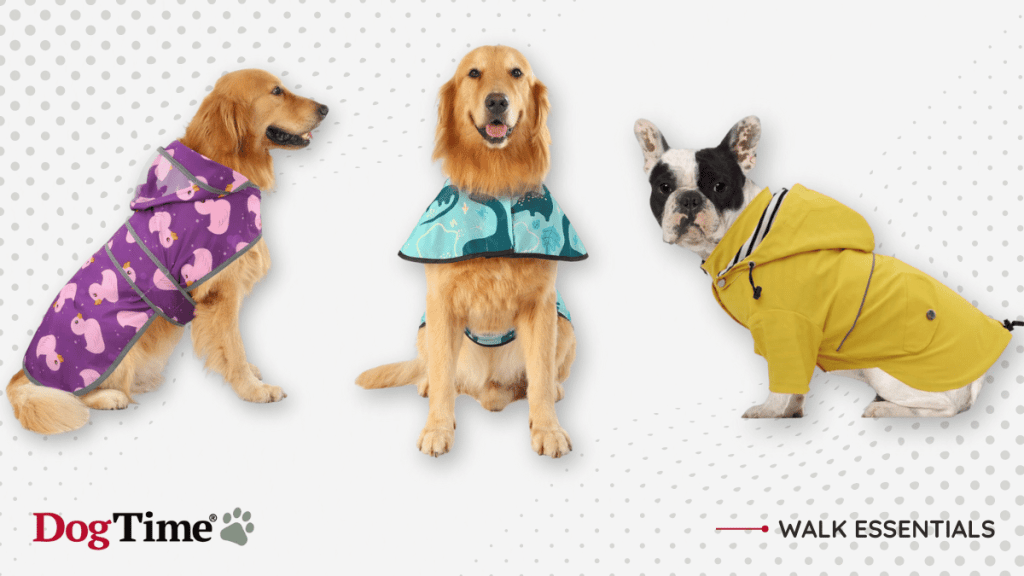 Best Dog Raincoats