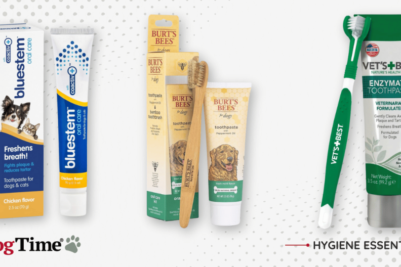 Best Dog Toothbrushes