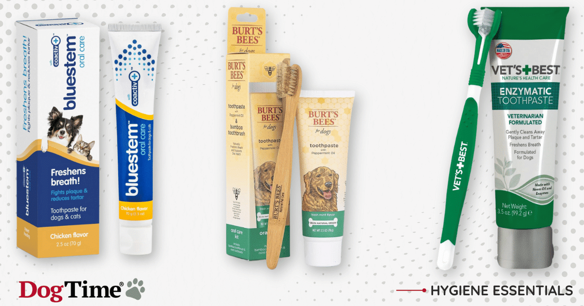 Best Dog Toothpastes of 2024 — Approved by Vets and Pets