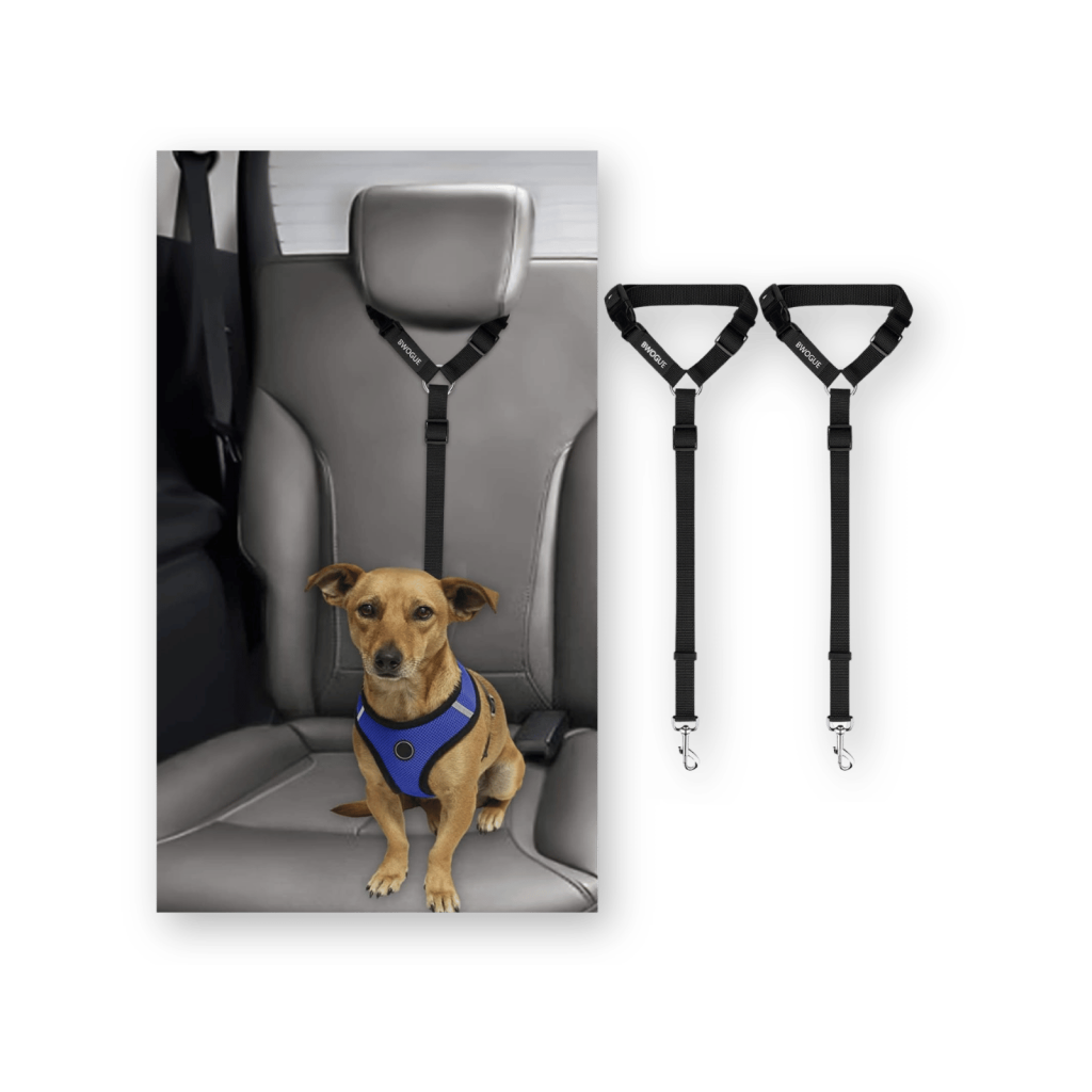 bwogue dog seat belt