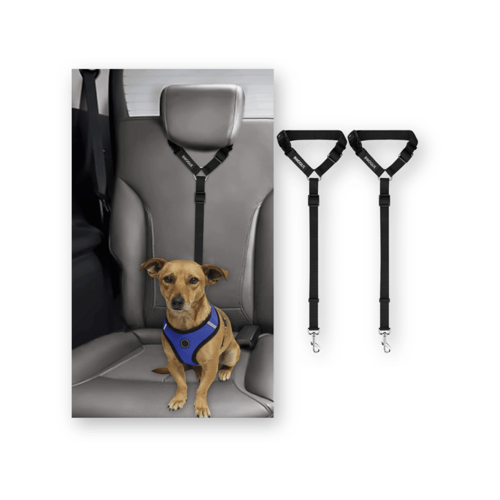 bwogue dog seat belt