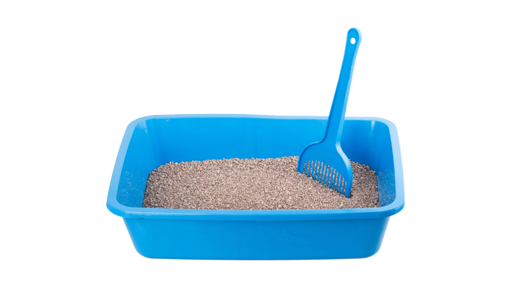 blue dog litter box