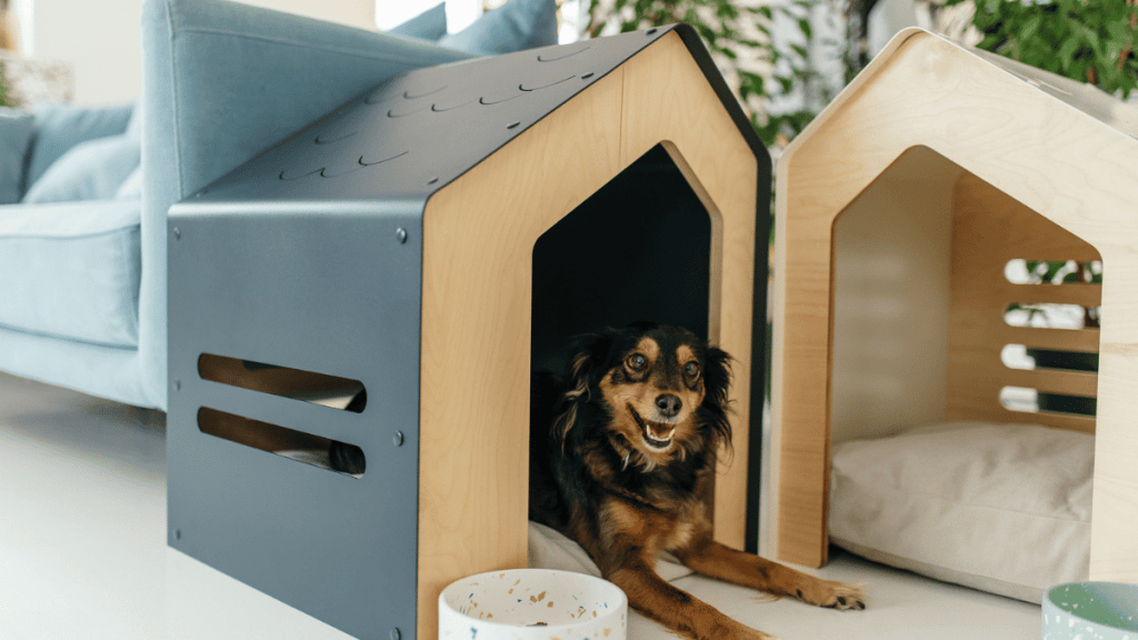 dog inside dog house