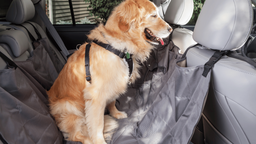 dog car seat cover