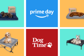 Best Dog Bed Prime Day Deals