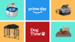 DogTime Prime Day Feature Image Dog Homelife Essentials