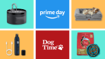 Amazon Prime Day 2024 and DogTime