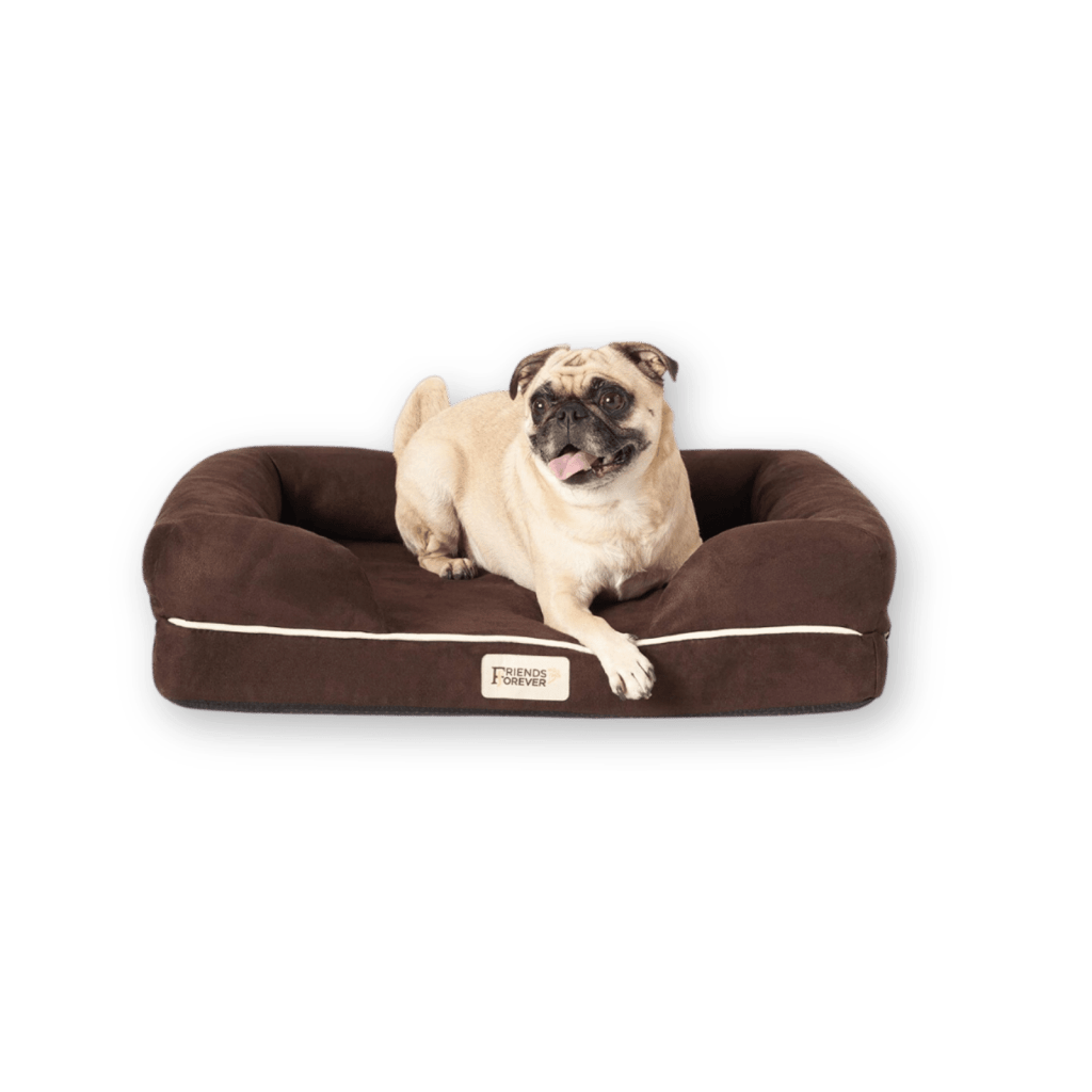 Small dog beds - prime day 2024