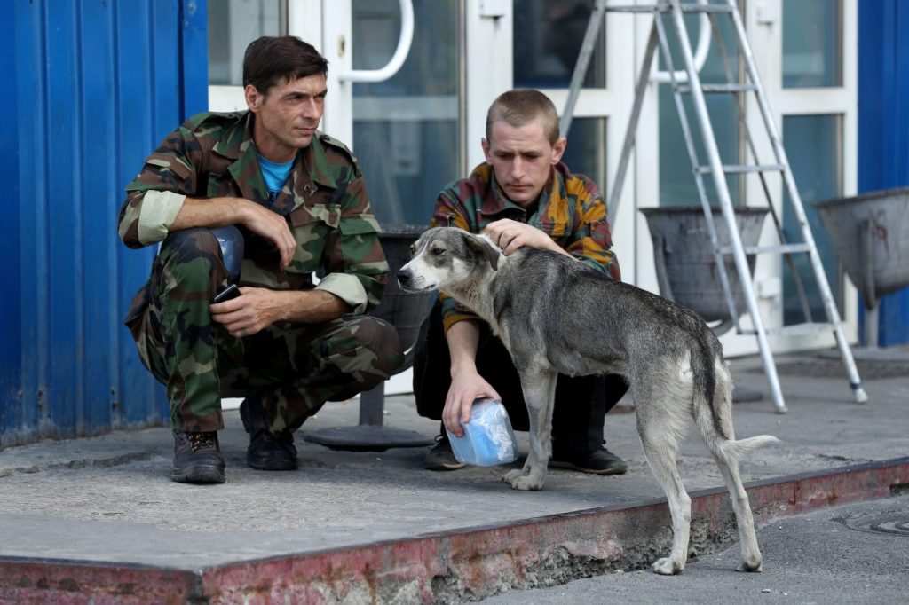 Workers on a break pet a stray dog they have named Bulka outside an administrative building inside the exclusion zone at the Chernobyl nuclear power plant.