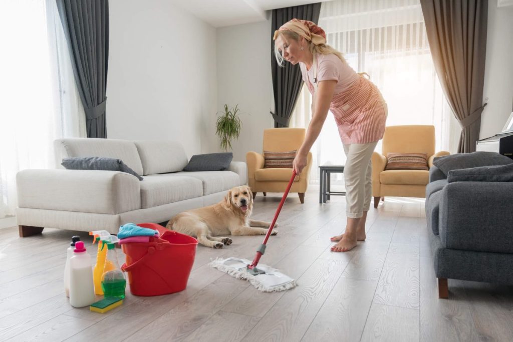 How To Use Pet Safe Cleaning Products in Your Home by Zahrah Patel