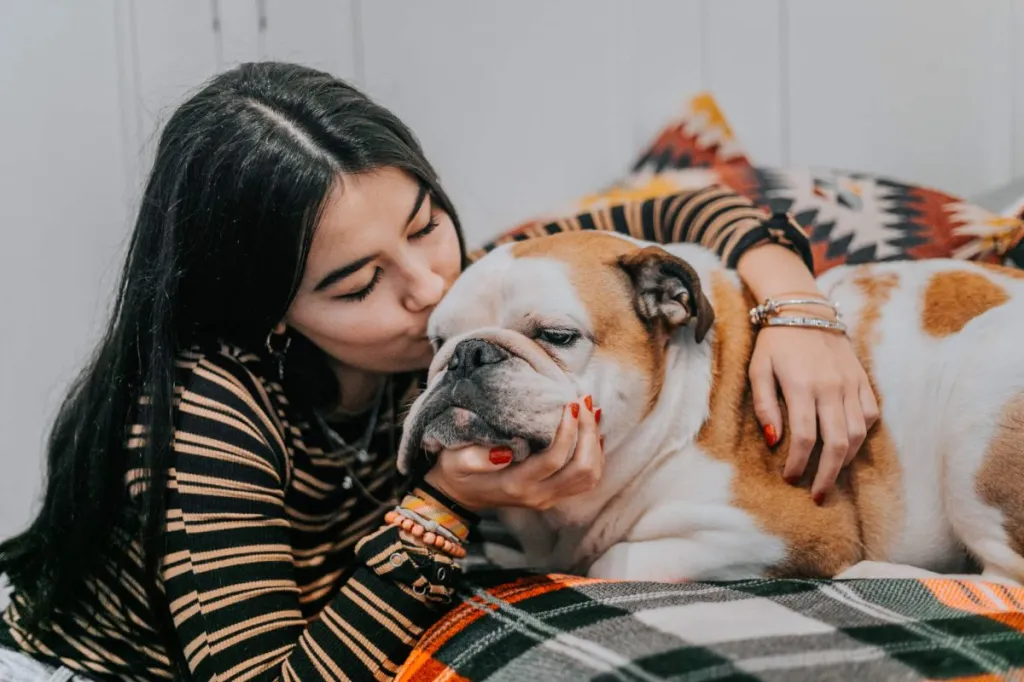 Un parent embrasse un bouledogue anglais malade.