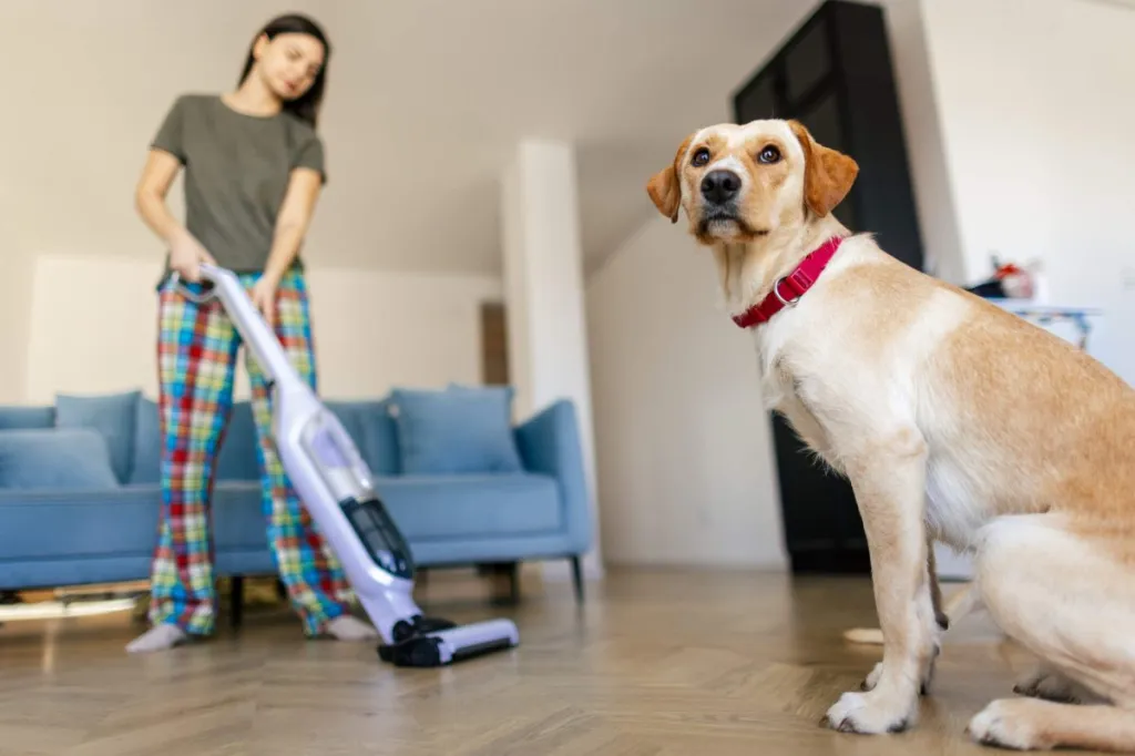 Woman in pajamas vacuuming the floor in her living room, her pet dog sitting on the floor, looking away.