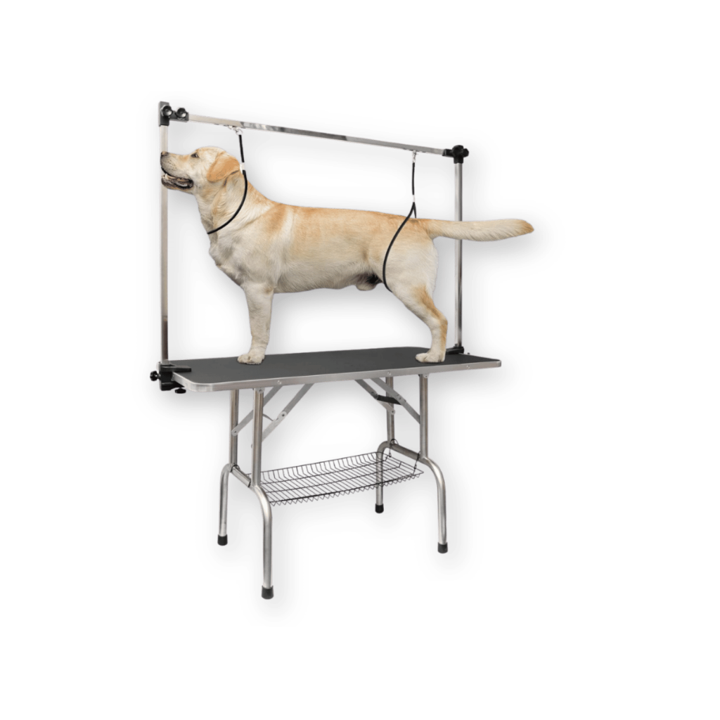 lovmor pet table prime day deal