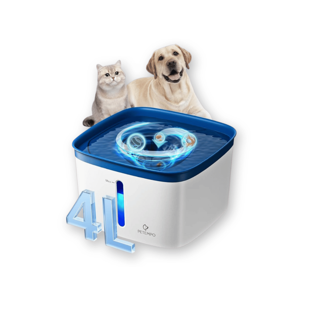 best water fountain - prime day 2024