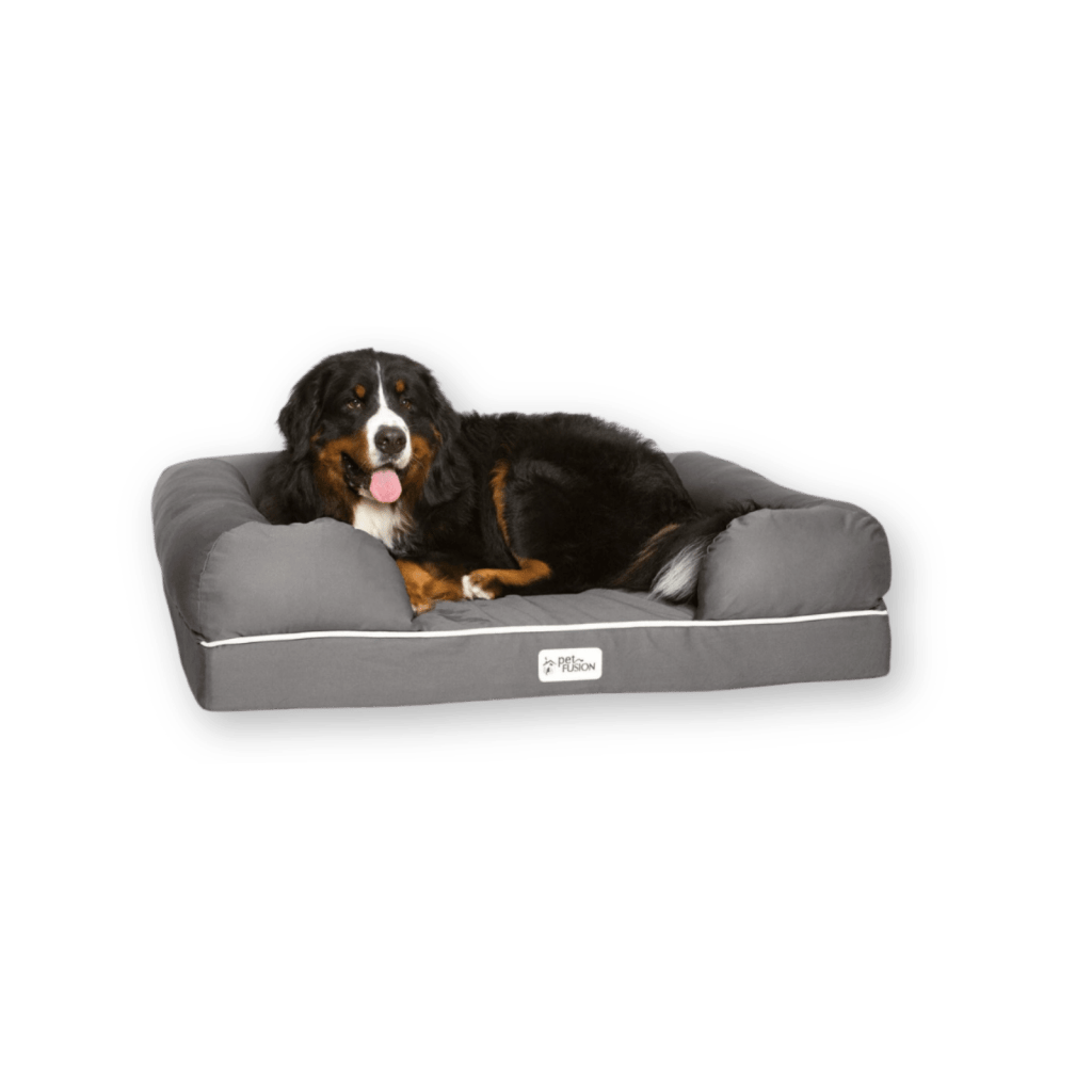 Petfusion dog bed