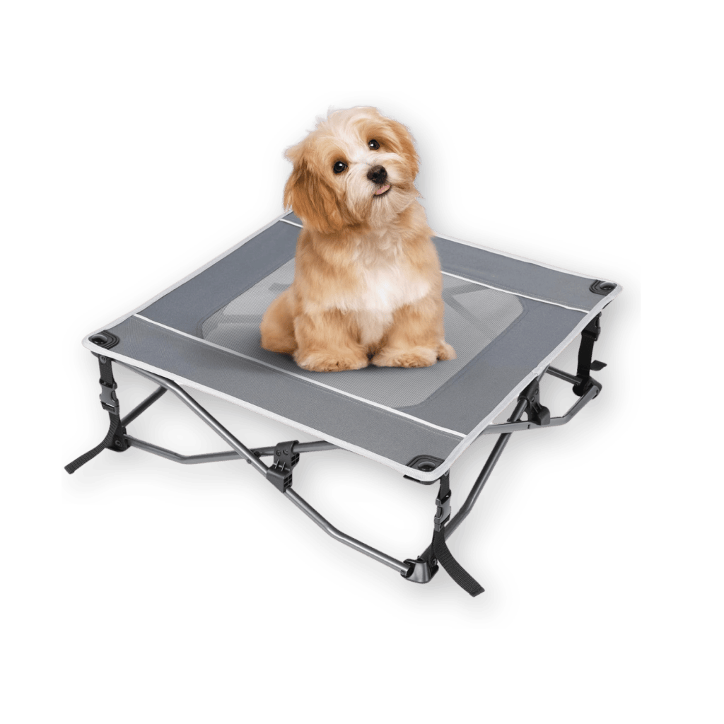 Outdoor bed for dogs