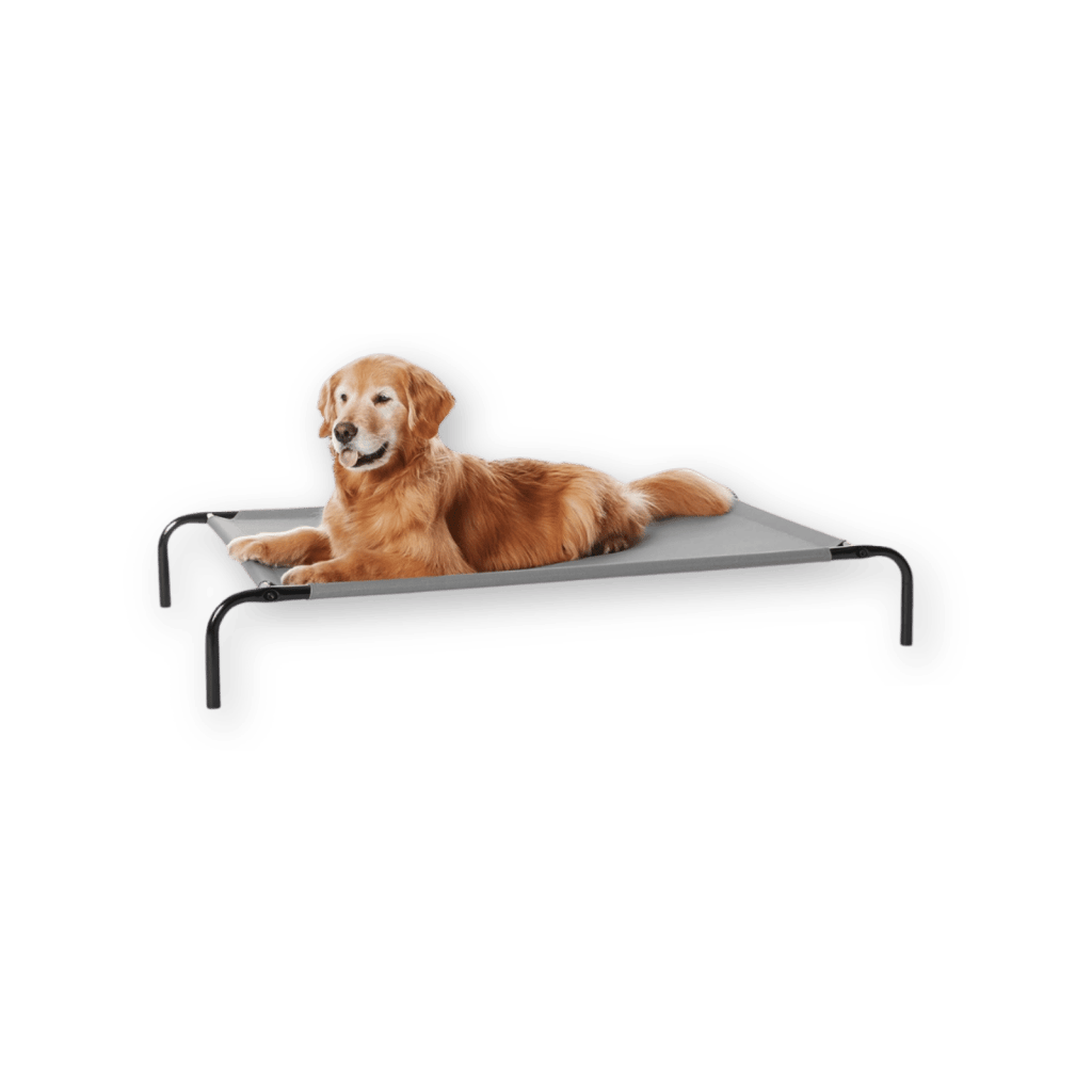 best dog bed by Amazon Basics