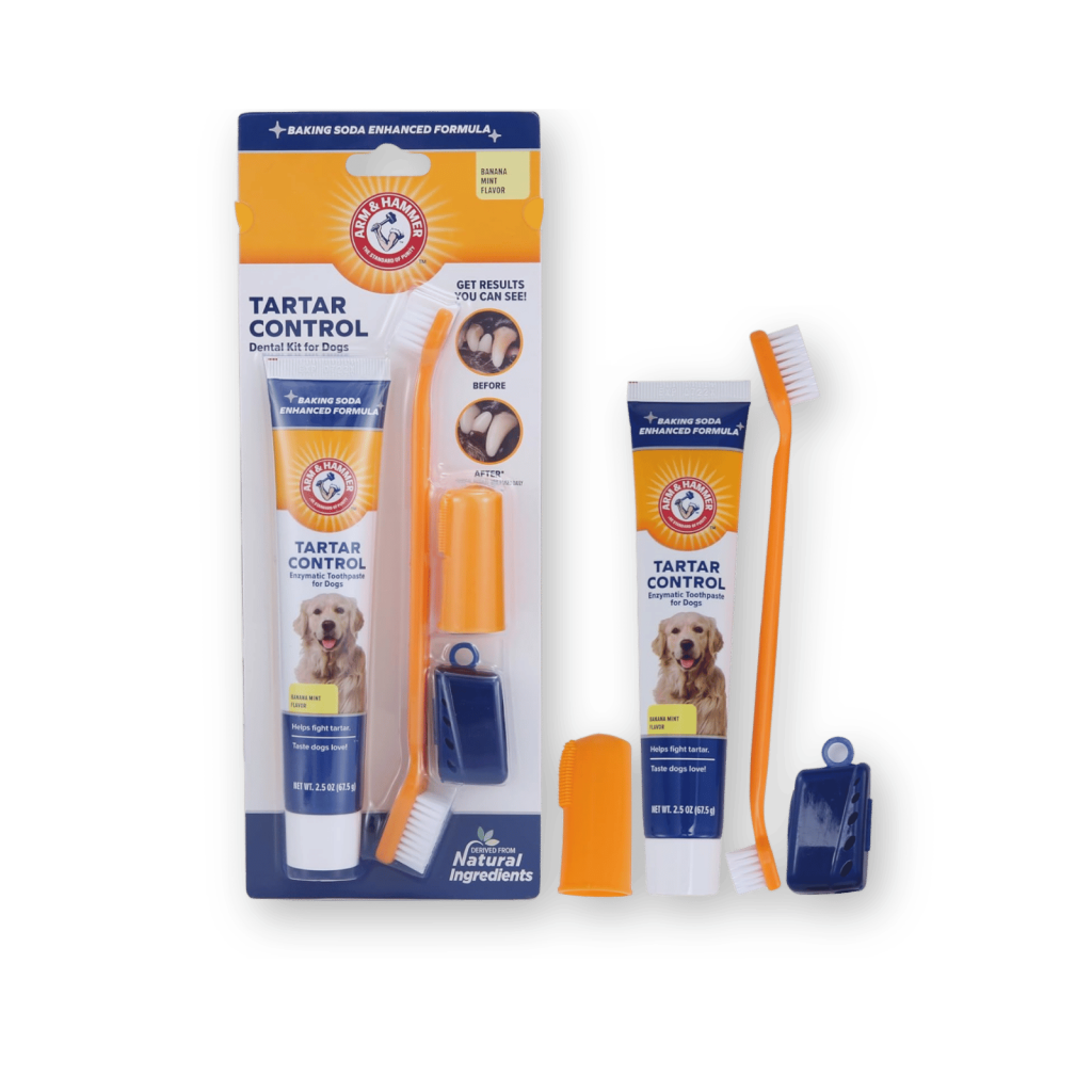 arm & hgammer toothbrush for dogs