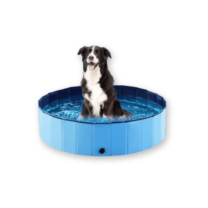 Best Dog Bathtubs by asonwell