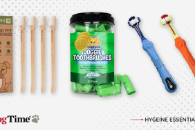 toothbrushes for dogs