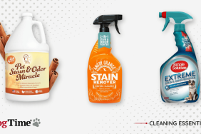 best enzyme cleaners for pet odor