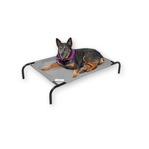 best dog bed by Coolaroo