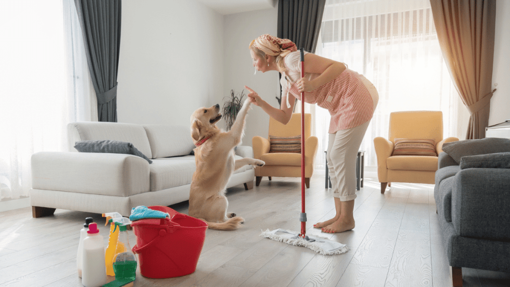 best enzyme cleaners for pet odor