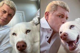 WWE's Cody Rhodes and his pet dog, a Husky named Pharaoh.