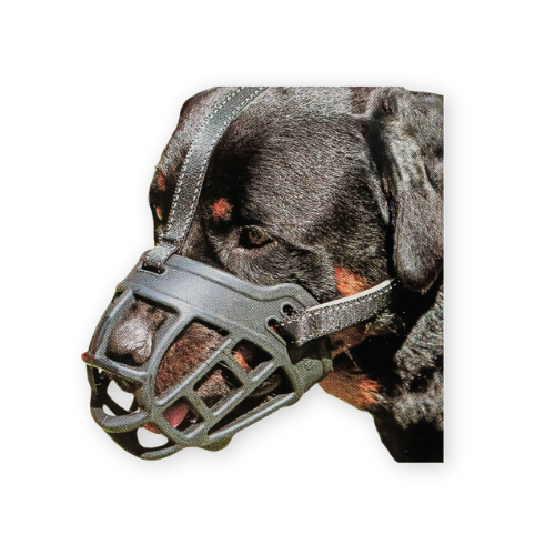 7 Best Dog Muzzles for All Breeds in 2025