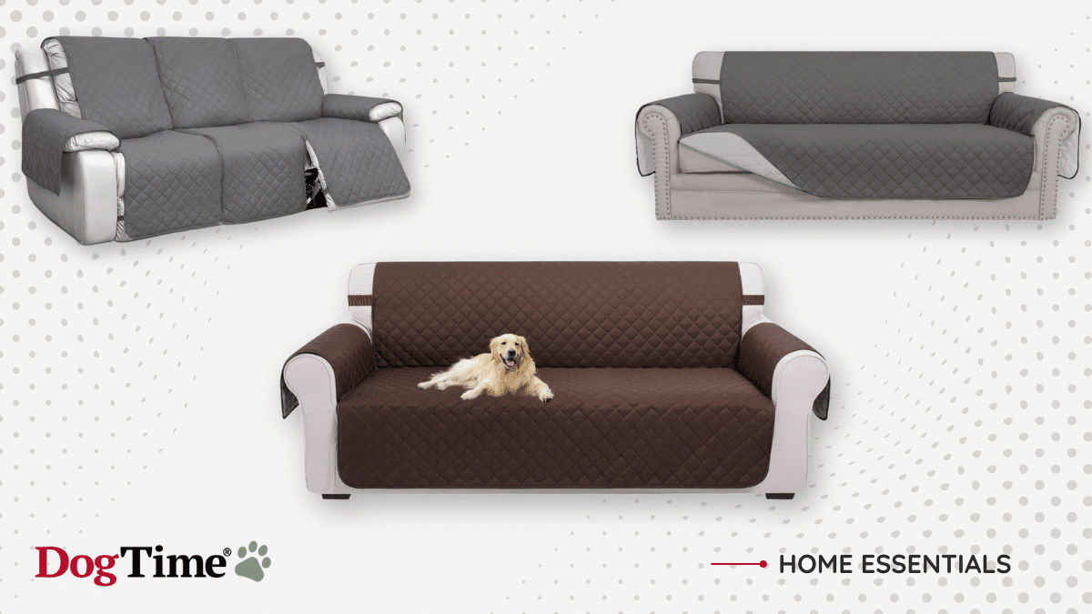 11+ Best sofa covers for dogs that are built to last [2024]