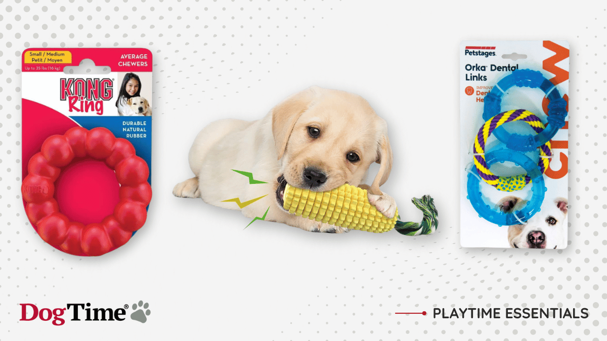 View of Indestructible Dog Toys That Can’t Be Destroyed & With Lifetime Guarantees
