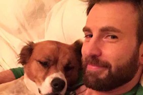 Chris Evans instagram dog