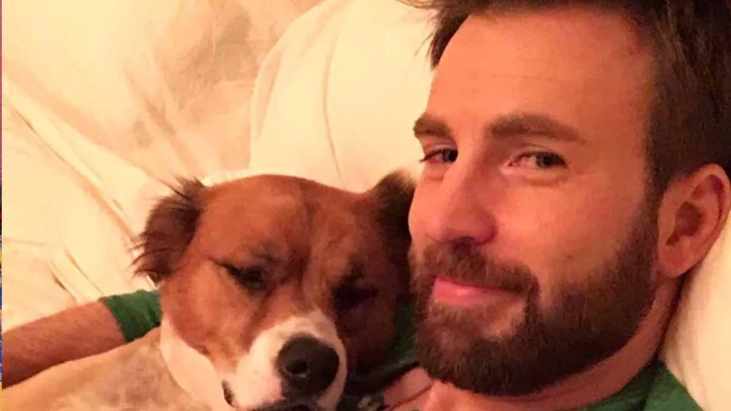 Chris Evans instagram dog