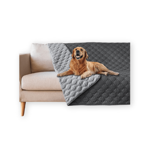 Best Dog Couch Cover by Gogobunny