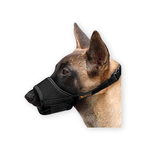 7 Best Dog Muzzles for All Breeds in 2024