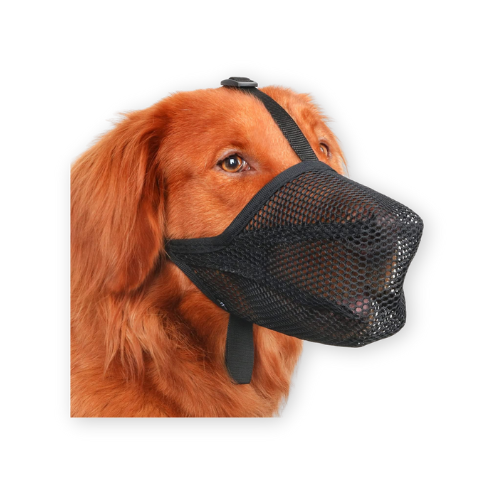 Best Dog Muzzle by Mayerzon