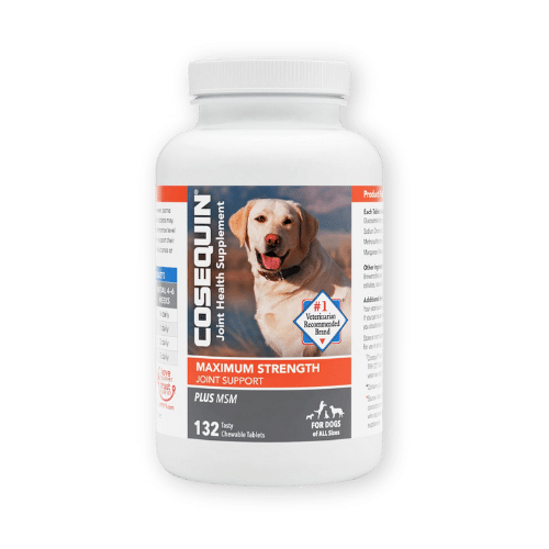 7 Best Joint Supplements for Dogs in 2024 — Vetapproved Picks
