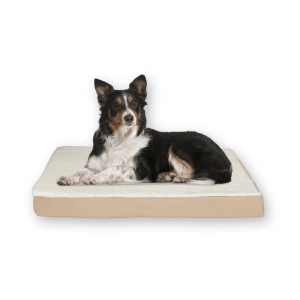 Orthopedic Dog Bed by Petmaker