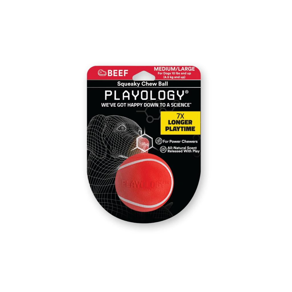 Best Dog Balls for Fetch by PLAYOLOGY