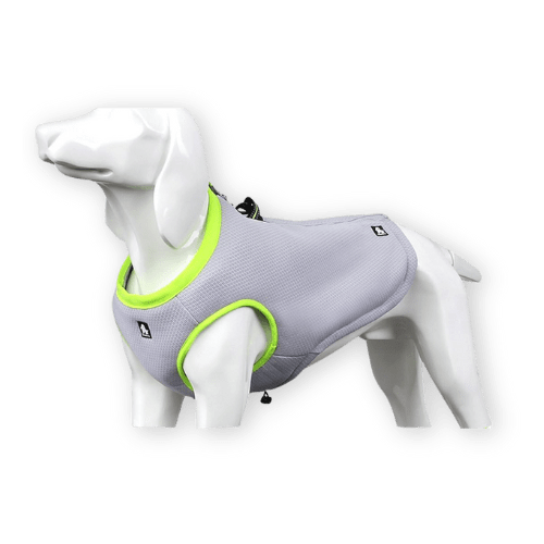 7 Best Dog Cooling Vests That Actually Work in 2024