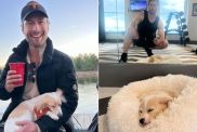 Glen Powell dog