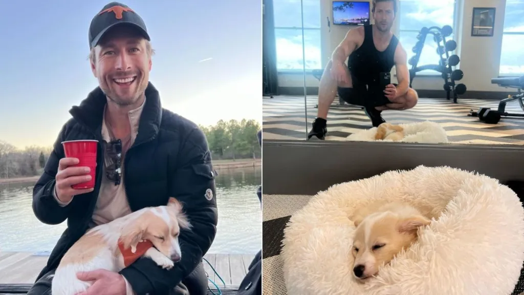 Glen Powell dog